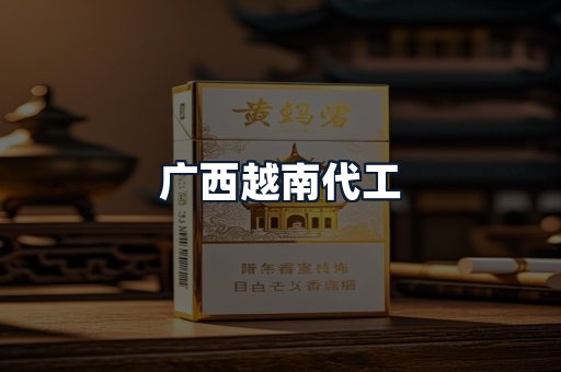 广西越南代工